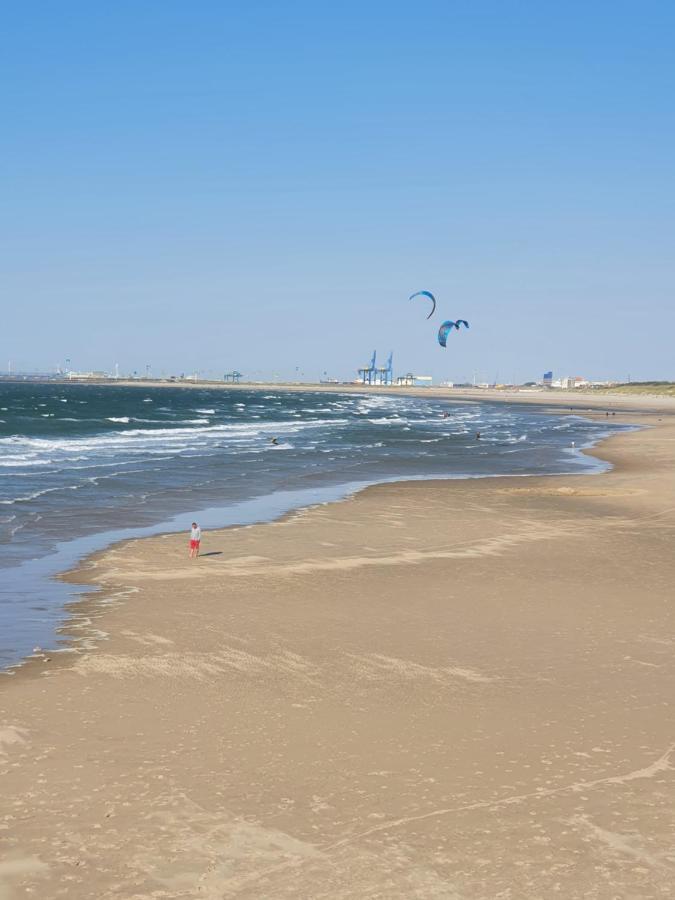 Beaulieu Apartment Blankenberge Bagian luar foto